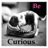 Be Courious