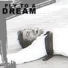Fly to a dream