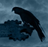 gothic raven
