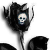 Black rose and skull