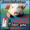 Please don`t eat me!