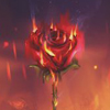 fire-rose