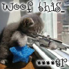 Kitty With A Gun