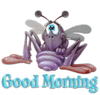 Morning Bug