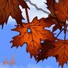 A Foliage Fall