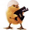 Armed and Ready Chick