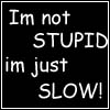 Im not stupid just slow