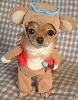 Costumed dog