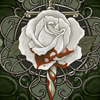 white blood rose