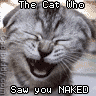 Kitten Saw You Naked