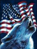 Wolf and Flag