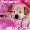 Innocent Puppy