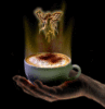 Fairy Coffee